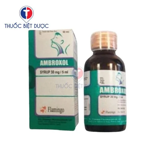 Hình ảnh Ambroxol Syrup 30mg/5ml