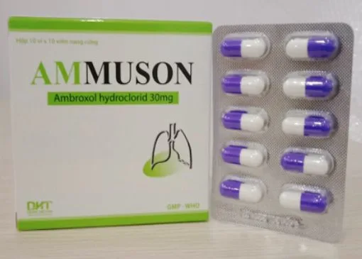 Hình ảnh Ammuson