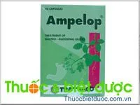 Hình ảnh Ampelop