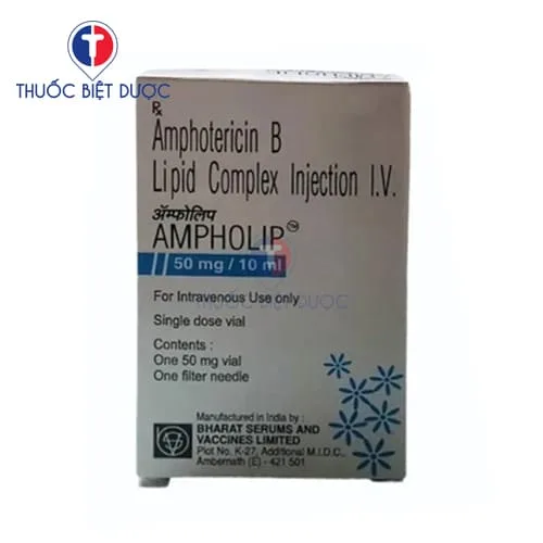 Hình ảnh Ampholip