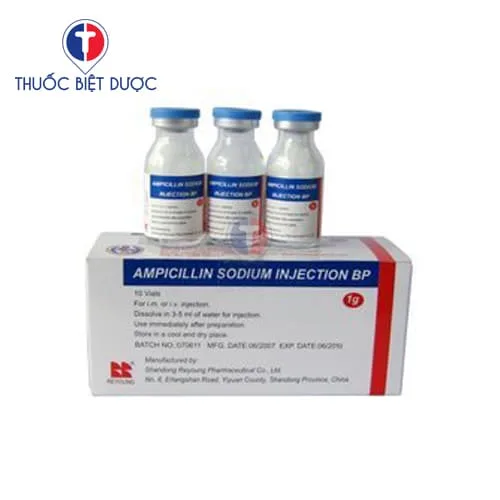 Hình ảnh Ampicillin sodium for Injection 1g
