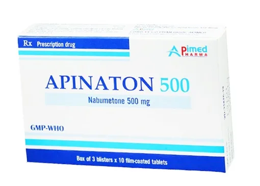 Hình ảnh Apinaton 500