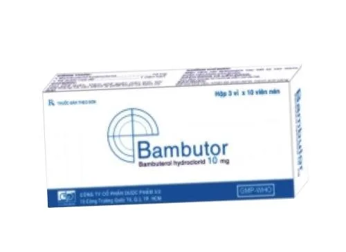 Hình ảnh Bambutor