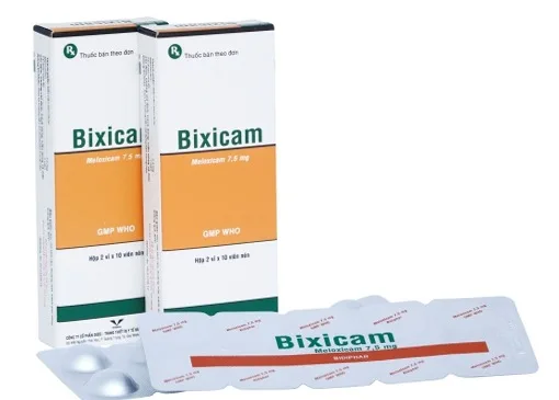 Hình ảnh Bixicam