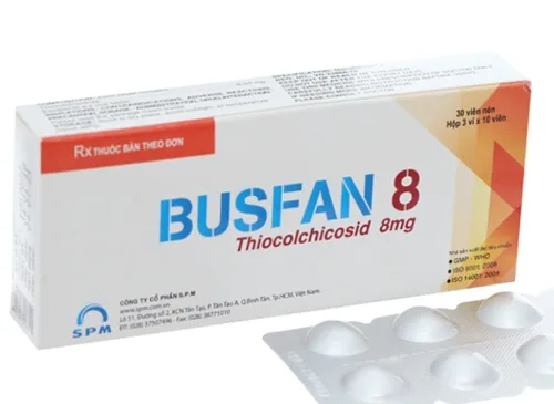Hình ảnh Busfan 8