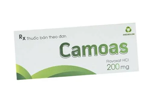 Hình ảnh Camoas