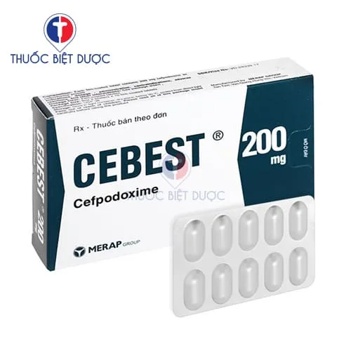 Hình ảnh Cebest