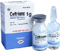 Hình ảnh Ceftrione 1g