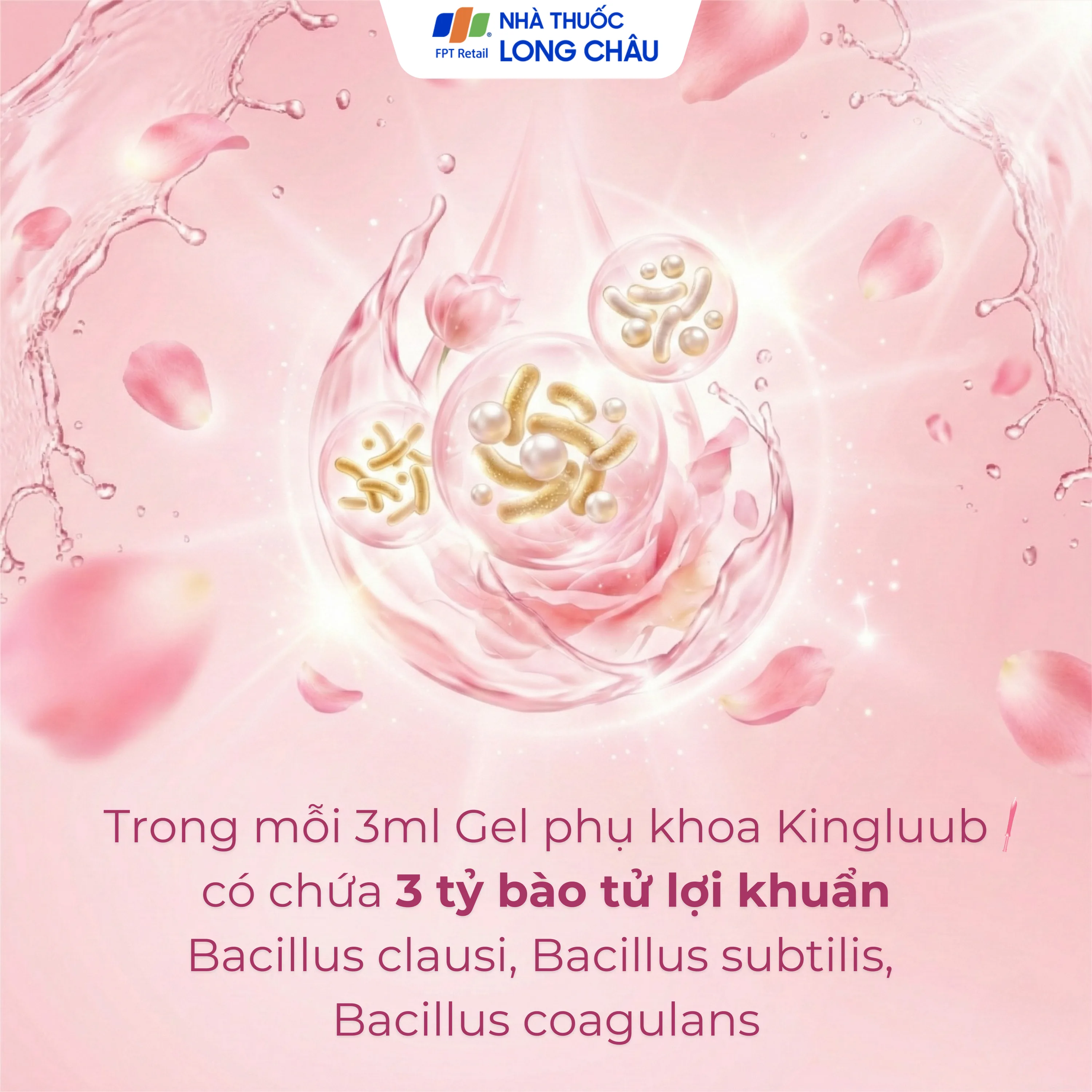 Hình ảnh Bút phụ khoa Kingluub (5 tuýp x 3ml) hỗ trợ điều trị, giảm viêm nhiễm, bôi trơn, làm mềm vùng âm đạo
