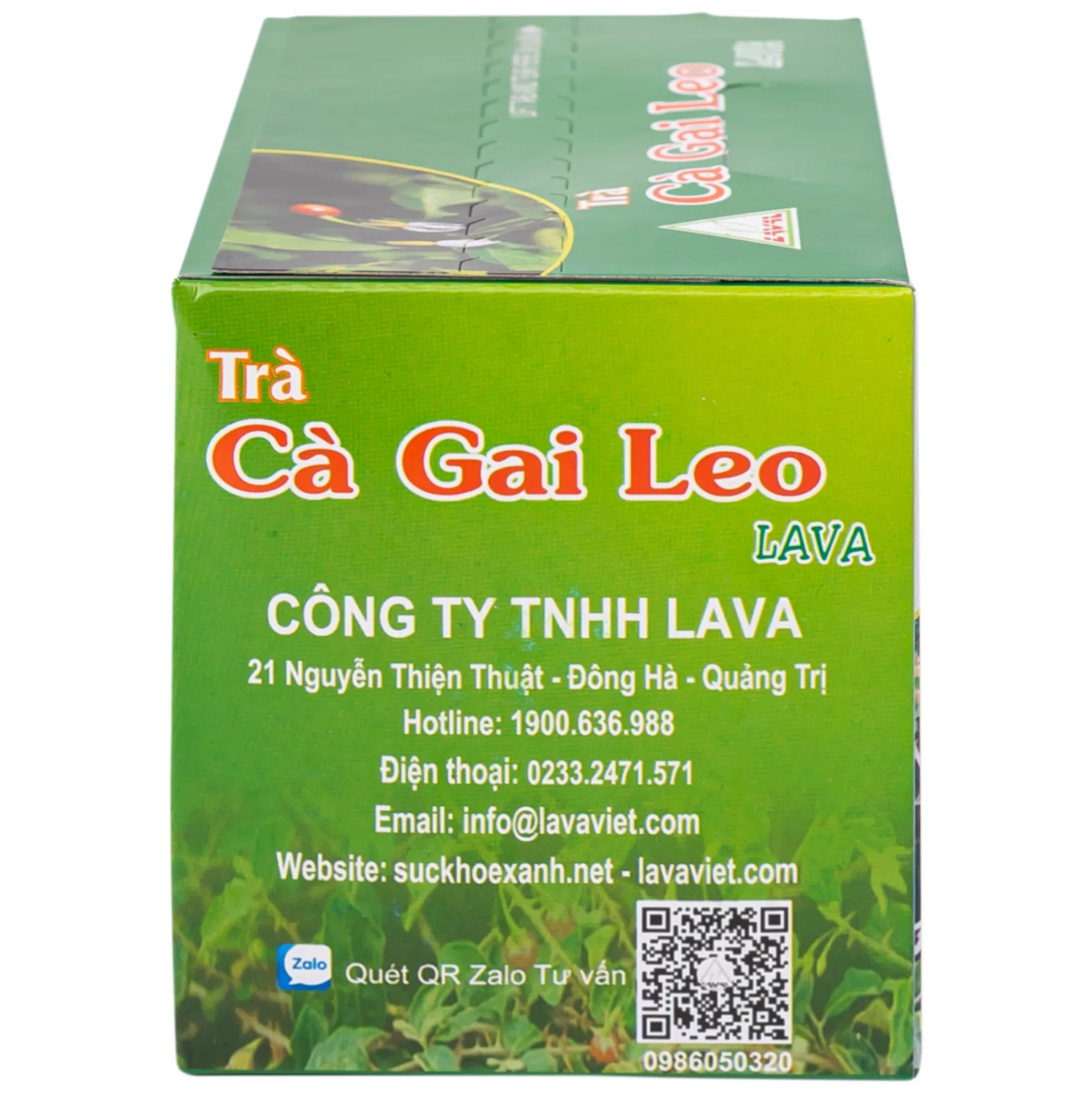 Hình ảnh Trà túi lọc Cà Gai Leo Lava hỗ trợ bổ gan, giải độc gan, hạ men gan (5g x 30 túi)