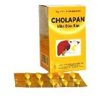 Hình ảnh Cholapan