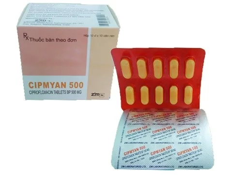 Hình ảnh Cipmyan 500