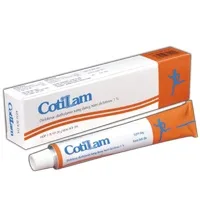 Hình ảnh Cotilam 1g