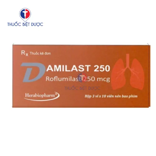 Hình ảnh Damilast 250mcg