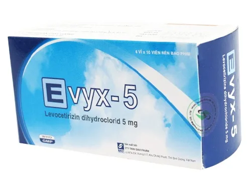 Hình ảnh Evyx-5