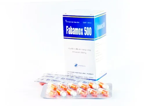 Hình ảnh Fabamox 500