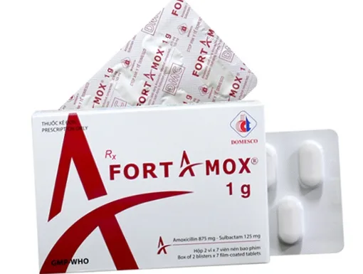 Hình ảnh Fortamox 1g