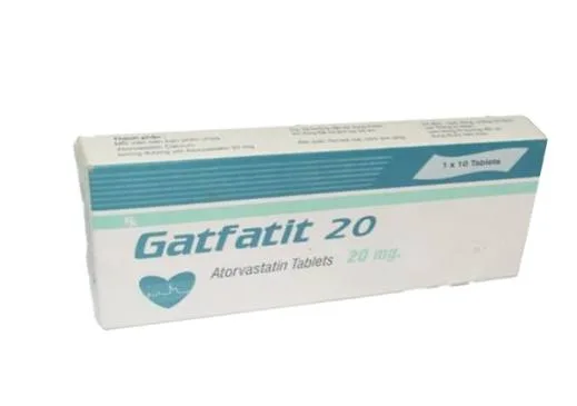 Hình ảnh Gatfatit 20