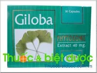 Hình ảnh Giloba 40mg