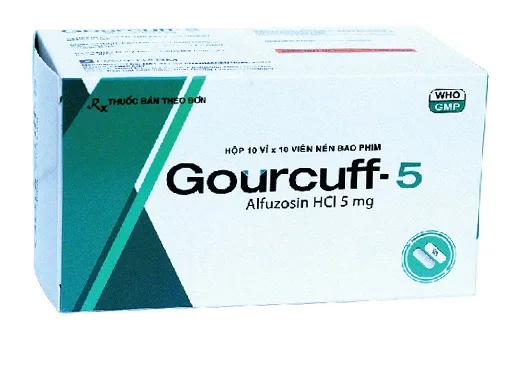 Hình ảnh Gourcuff-5