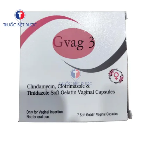 Hình ảnh Gvag 3