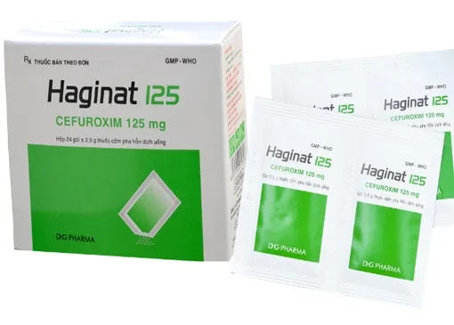 Hình ảnh Haginat 125