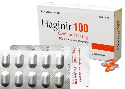 Hình ảnh Haginir 100