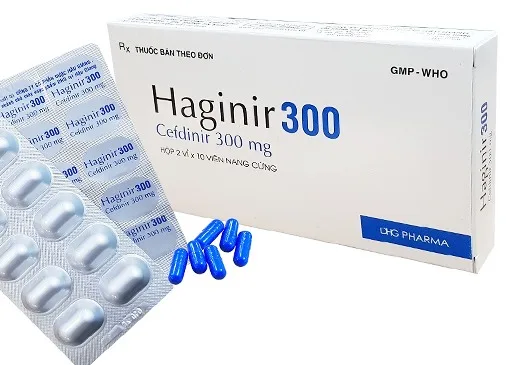 Hình ảnh Haginir 300
