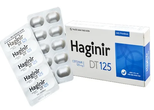 Hình ảnh Haginir DT 125