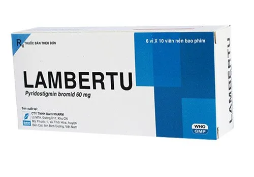 Hình ảnh Lambertu