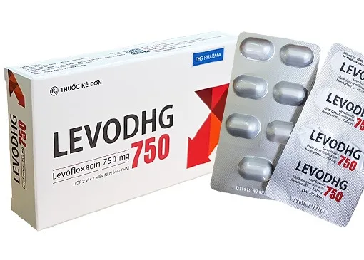 Hình ảnh LevoDHG 750