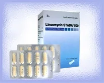 Hình ảnh Lincomycin Stada 500mg