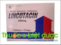 Hình ảnh Lincotacin 500mg