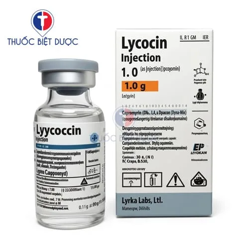 Hình ảnh Lycocin Injection 1.0g