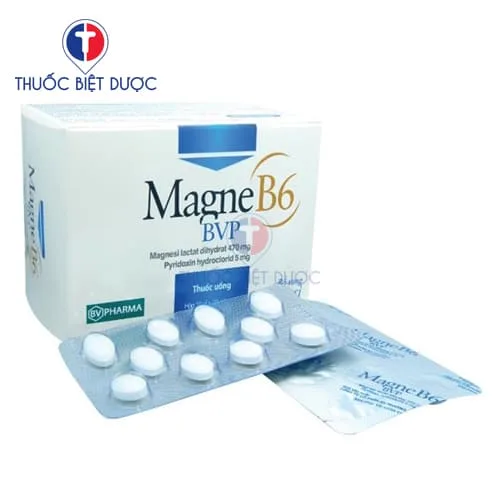 Hình ảnh Magne B6-BVP