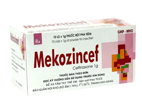 Hình ảnh Mekozincef