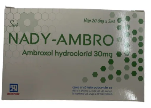 Hình ảnh Nady-Ambro