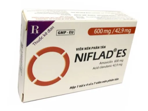 Hình ảnh Niflad ES