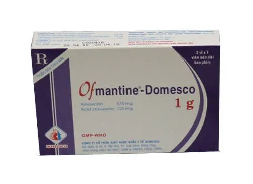 Hình ảnh Ofmantine domesco 1g