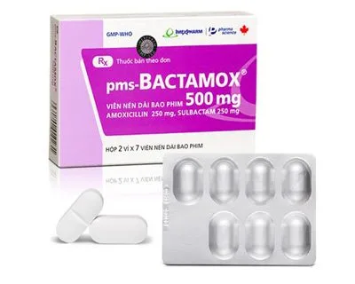 Hình ảnh pms-Bactamox 500 mg
