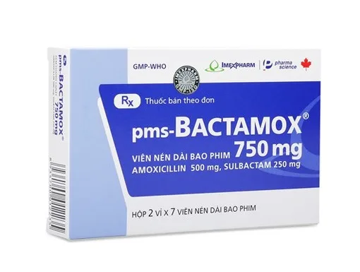 Hình ảnh pms-Bactamox 750 mg