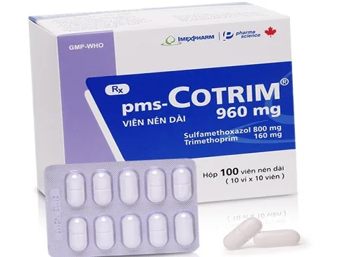 Hình ảnh pms-Cotrim 960mg
