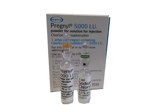 Hình ảnh Pregnyl 5000