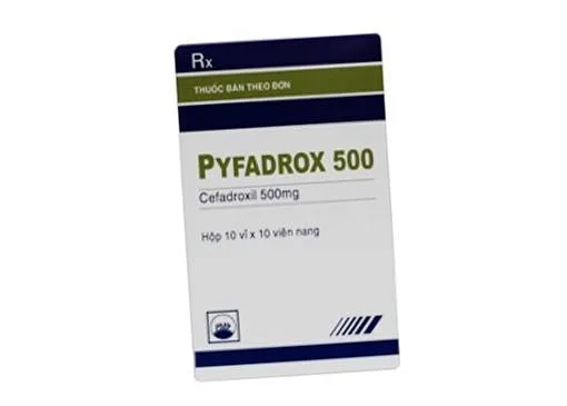 Hình ảnh Pyfadrox 500