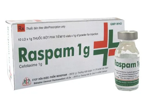 Hình ảnh Raspam 1g