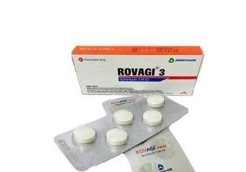 Hình ảnh Rovagi 3