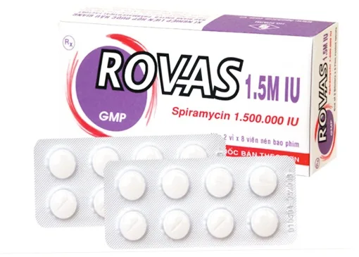 Hình ảnh Rovas 1.5M