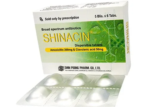 Hình ảnh Shinacin