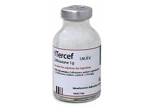 Hình ảnh Tercef 1g
