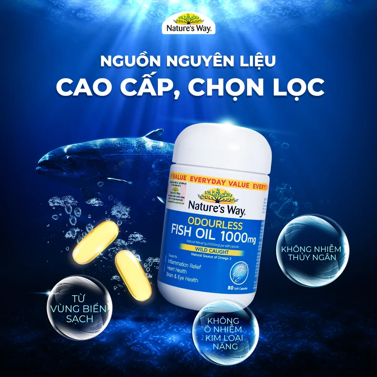 Hình ảnh Viên hỗ trợ bổ não Odourless Fish Oil 1000mg Nature's Way (80 viên)